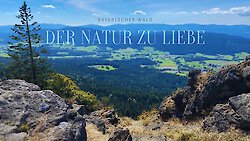 Der Bayerische Wald als Alternative zu Flugreisen